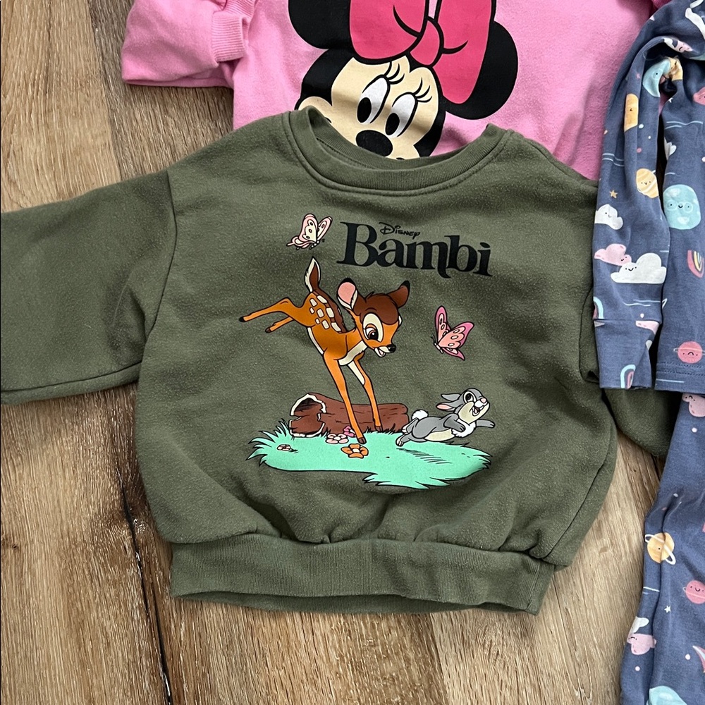 2T Toddler Girl Clothing Bundle - Picture 2 of 6